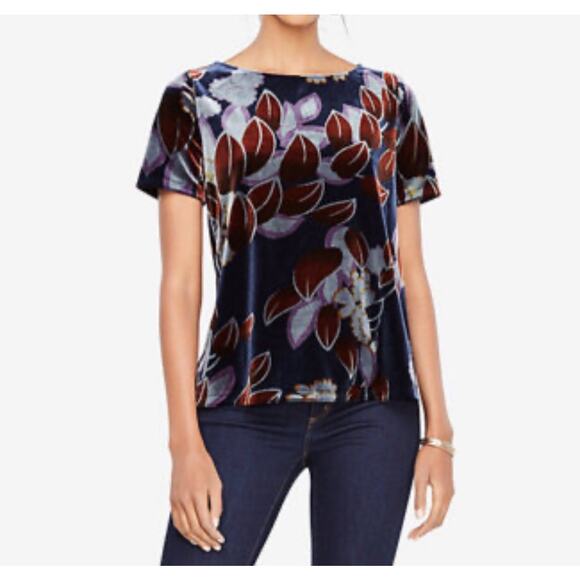 Ann Taylor Botanical Velvet Tee Top Sz S Dark Blue Teal Floral Quiet Luxury Fall - Picture 1 of 11